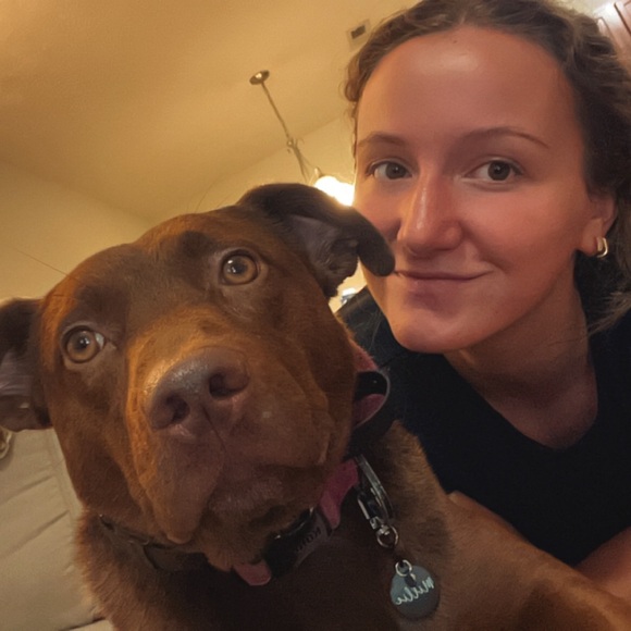 Meet your Posher, Ally - Picture 1 of 1